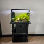 Superfish home 65 aquarium, Dieren en Toebehoren, Ophalen, Zo goed als nieuw, Leeg aquarium