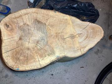 Boomstam schijf beuk beukenhout beschikbaar voor biedingen