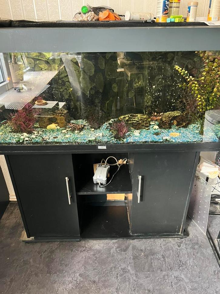 Groot aquarium, Dieren en Toebehoren, Vissen | Aquaria en Toebehoren, Zo goed als nieuw, Gevuld zoetwateraquarium, Ophalen