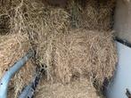 Hooi, Dieren en Toebehoren, Dierenvoeding, Ophalen of Verzenden, Vee