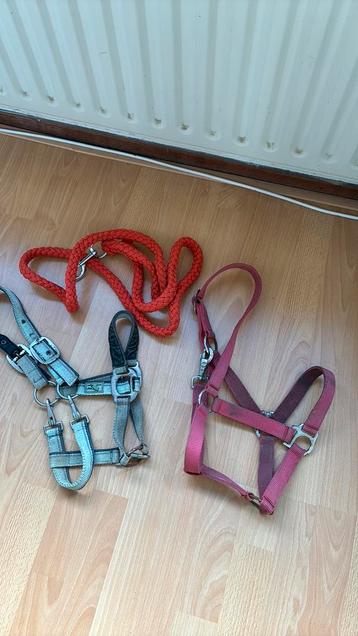 Halsters met touw beschikbaar voor biedingen