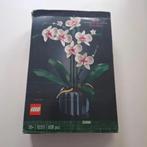 LEGO Icons Botanical Collection 10311 Orchidee Set, Kinderen en Baby's, Speelgoed | Duplo en Lego, Ophalen of Verzenden, Nieuw