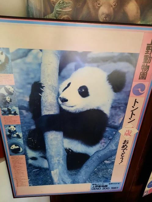 3 POSTERS JAPANESE ZOO MID 80-IES, Verzamelen, Posters, Gebruikt, Dier of Natuur, Deurposter of groter, Rechthoekig Staand, Met lijst