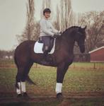 Bijrijder gezocht voor Joey (Didam), Ophalen