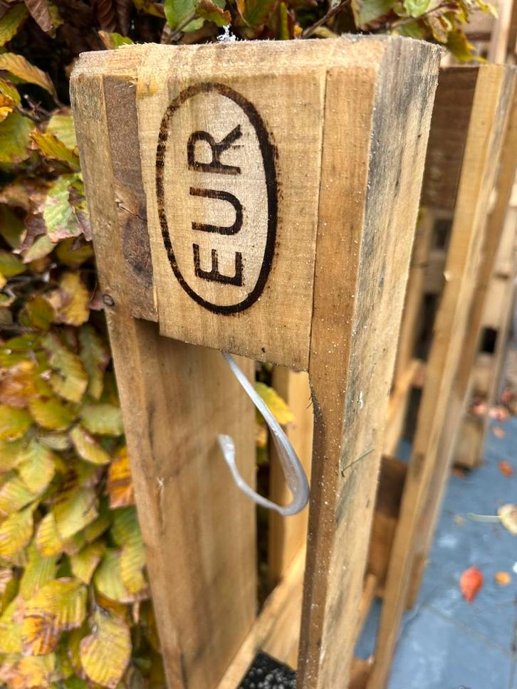 Euro Pallet & pallets, Doe-het-zelf en Verbouw, Hout en Planken, Pallet, Overige houtsoorten, Minder dan 200 cm, 50 mm of meer