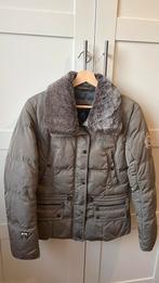 Winterjas HV polo, Kleding | Dames, Maat 38/40 (M), Overige kleuren, HV polo, Ophalen of Verzenden