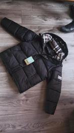 Burberry jas-bodywarmer, Ophalen of Verzenden, Nieuw, Zwart