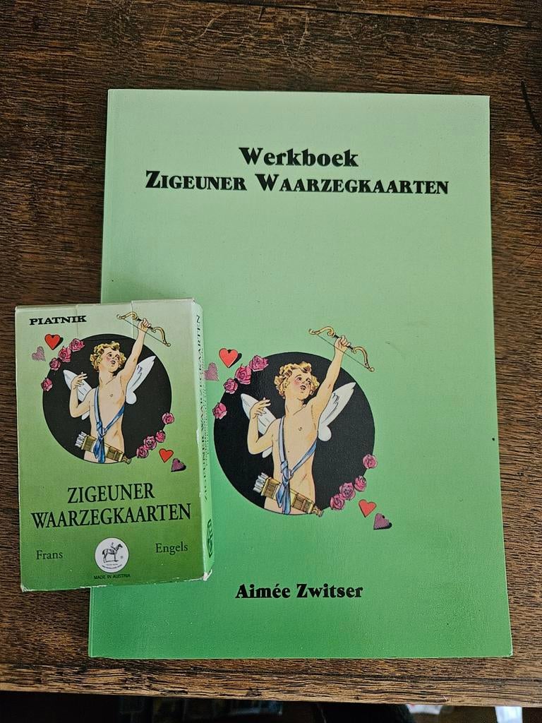 Zigeuner Waarzegkaarten met Werkboek - Aimée Zwitser, Tarot of Kaarten leggen, Ophalen of Verzenden, Zo goed als nieuw, Instructieboek