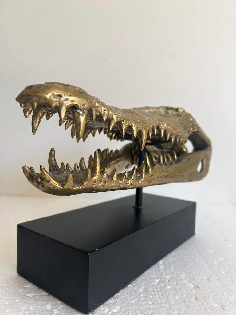 Grote bronzen schedel zoutwater krokodil, Kunst & Design, Ophalen of Verzenden