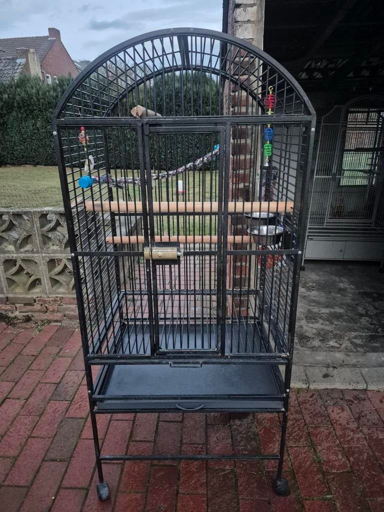 Papegaaien kooi vogelkooi, Dieren en Toebehoren, Vogels | Hokken en Kooien, Ophalen of Verzenden, Metaal, Vogelkooi