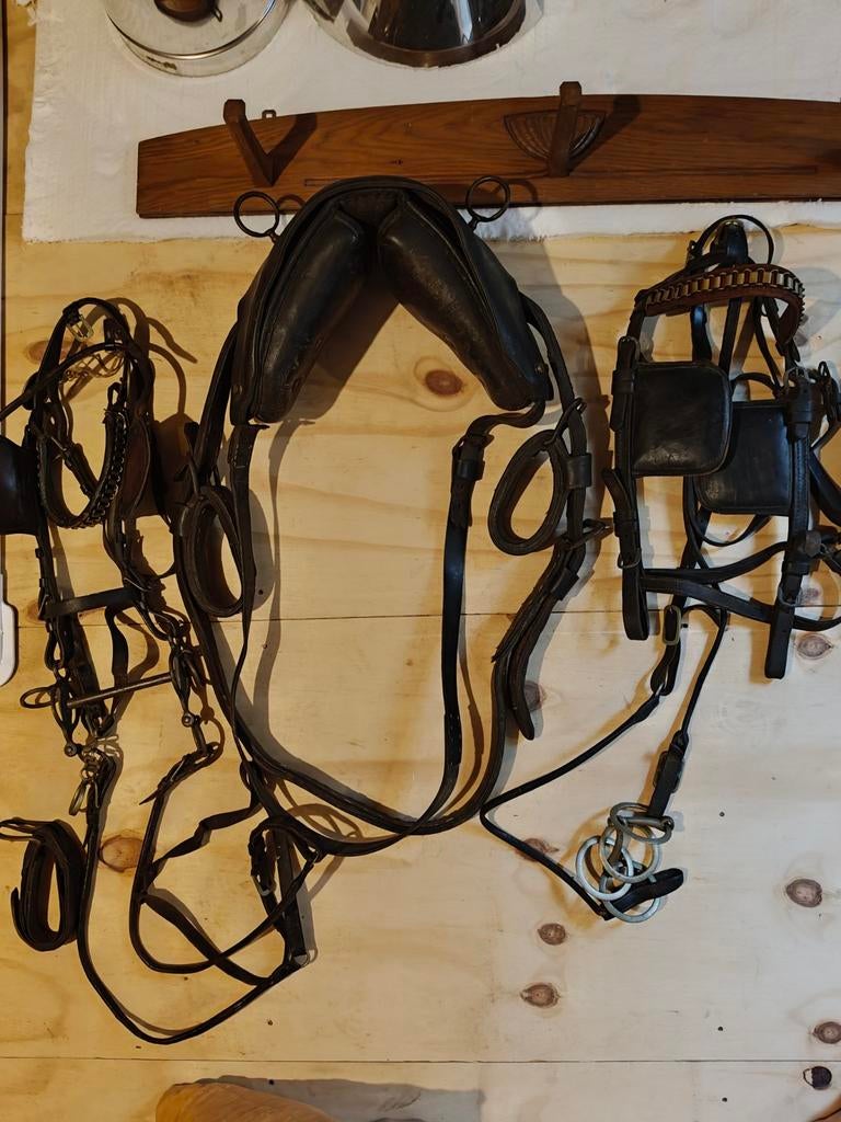 Ouderwets paardentuig, Dieren en Toebehoren, Ophalen of Verzenden, Overige soorten