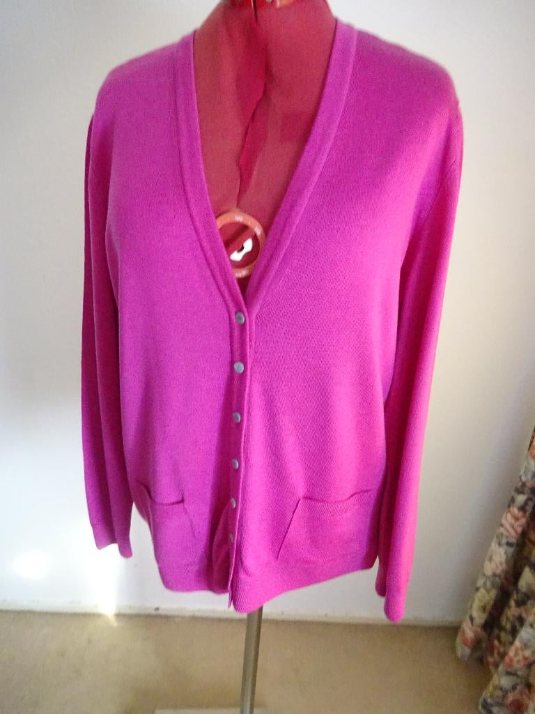 Peter Hahn vest mt 48, Overige kleuren, Verzenden, Maat 46/48 (XL) of groter, Zo goed als nieuw