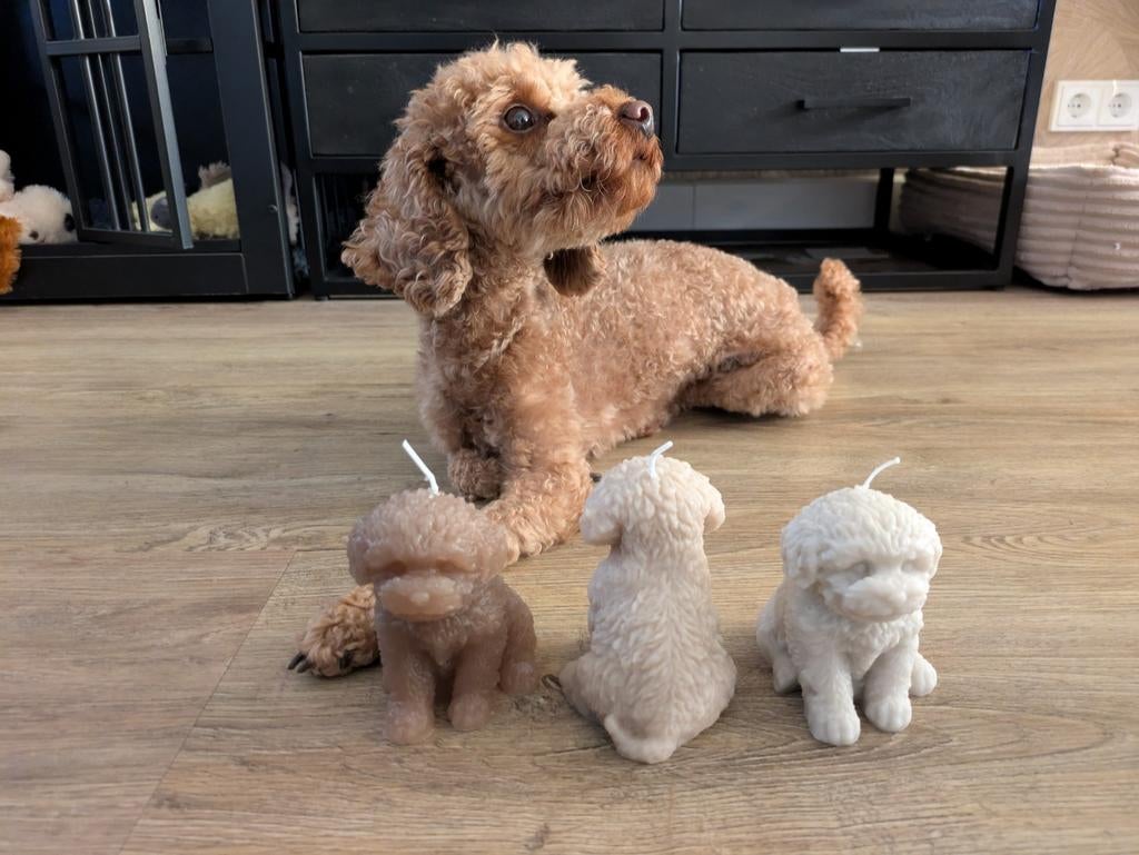 Leuke toypoedel kaars - kleur af te stemmen, Overige materialen, Nieuw, Ophalen of Verzenden, Bruin