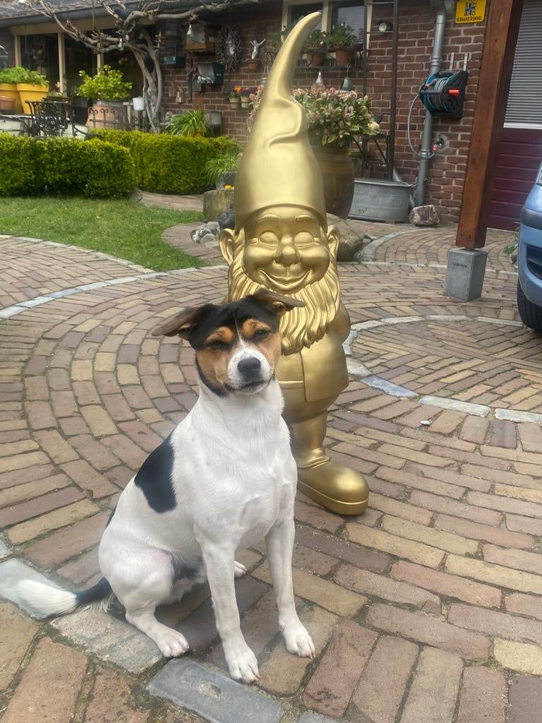 Grote kunstof tuinkabouter 95 centimeter hoog, Tuin en Terras, Tuinbeelden, Ophalen of Verzenden, Zo goed als nieuw, Kunststof