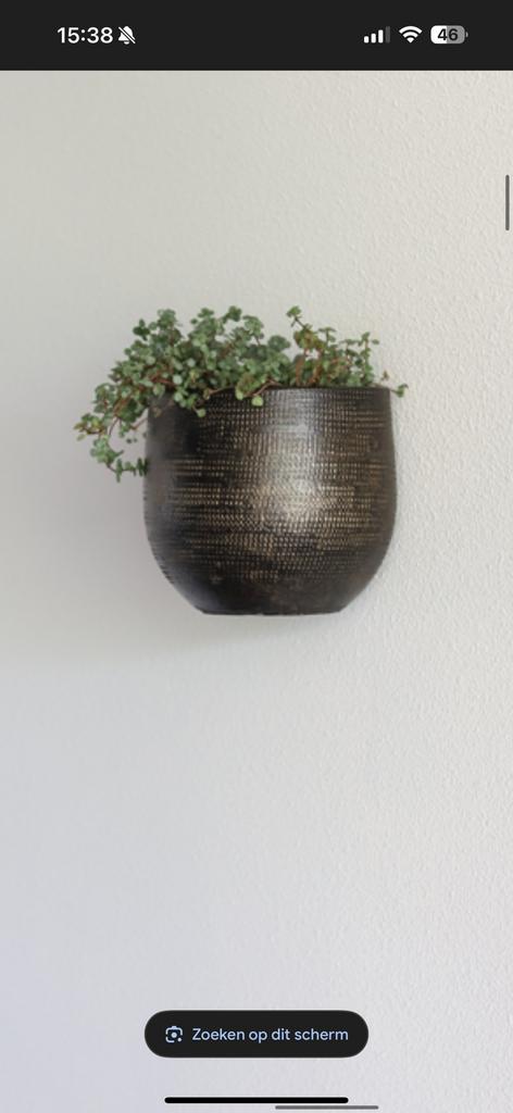 Intratuin Bloempot voor aan de muur brons goud, Ophalen, Steen, Minder dan 30 cm, Minder dan 60 cm