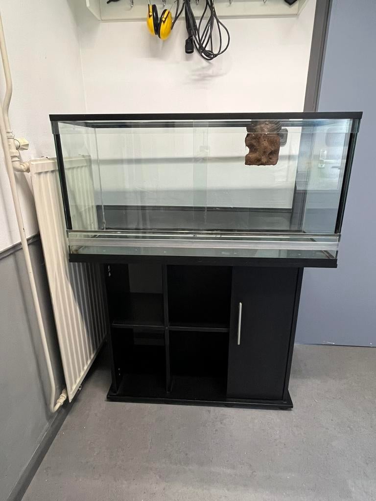 Terrarium + kast, Dieren en Toebehoren, Ophalen, Zo goed als nieuw, Terrarium of Paludarium