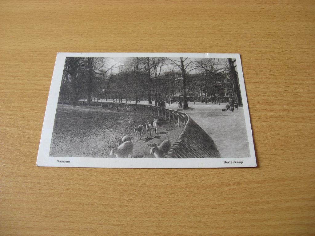 Haarlem Hertenkamp 3, Ophalen of Verzenden, Voor 1920, Gelopen, Noord-Brabant