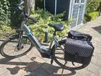 Pegasus Premio Evo 10 Dames E-bike, 51 tot 55 cm, Ophalen, Overige merken