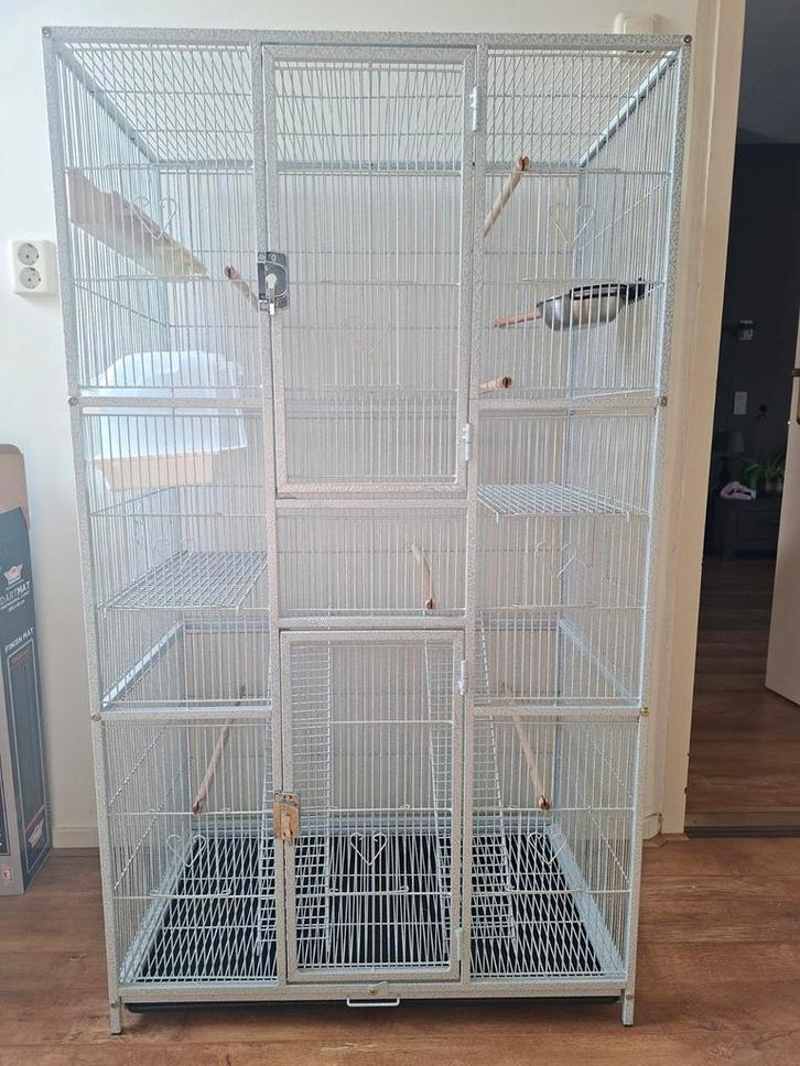 Grote nette vogelkooi, Dieren en Toebehoren, Vogels | Hokken en Kooien, Zo goed als nieuw, Vogelkooi, Metaal, Ophalen