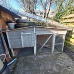 Kippenhok  met buiten ren, Vrouwelijk, Kip