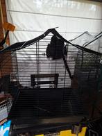 Vogelkooi gratis!, Dieren en Toebehoren, Ophalen, Zo goed als nieuw, Metaal, Vogelkooi