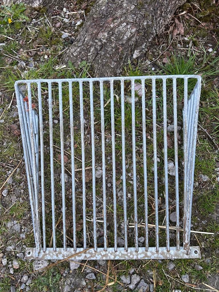 Hooiruif 3 maal, Meerdere dieren, Schaap