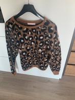 Mooie trui van Studio Anneloes mt S klein prijsje, Ophalen of Verzenden, Gedragen, Maat 38/40 (M), Overige kleuren