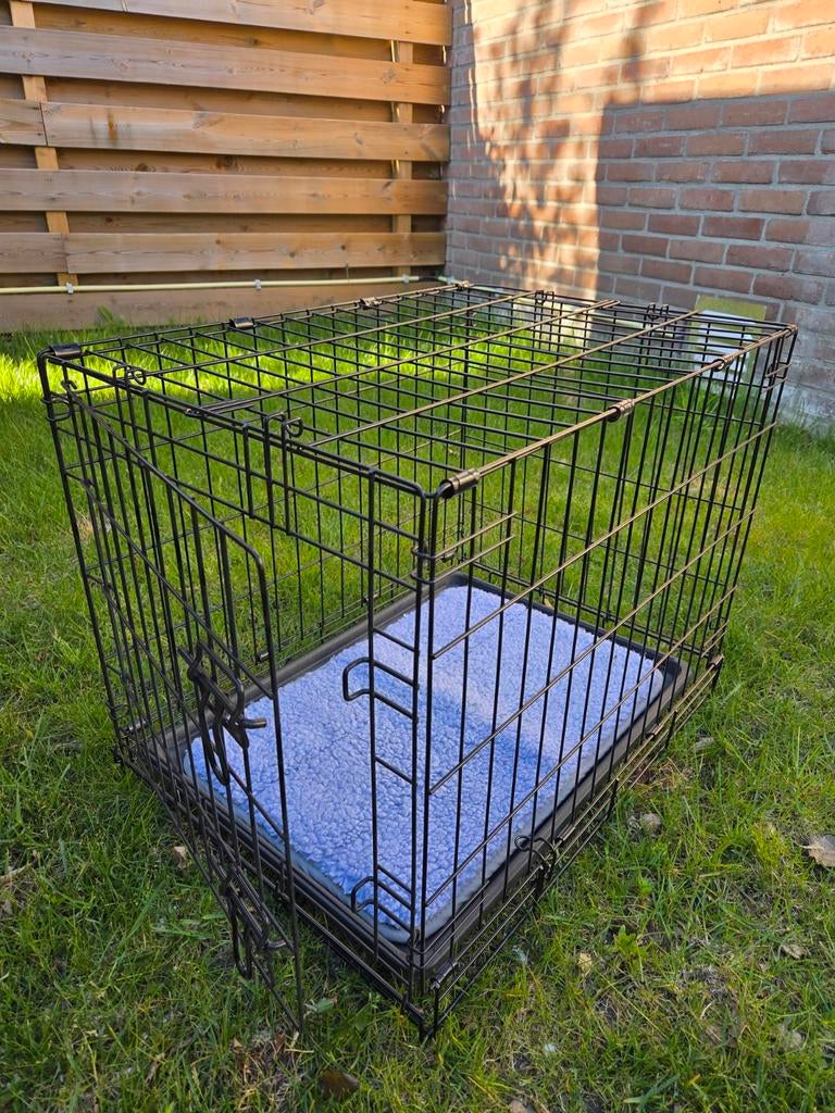 Nieuwe bench, Dieren en Toebehoren, Ophalen