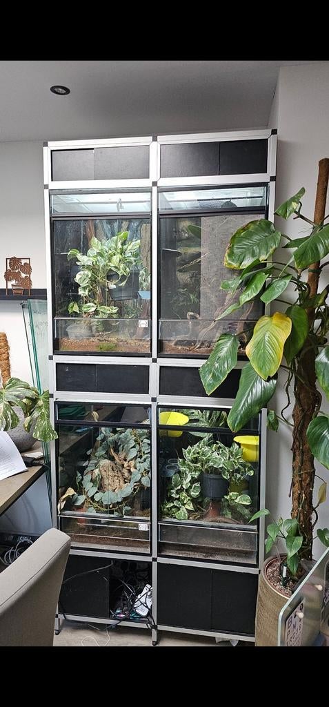 Terrariumstelling incl 4 terraria en 2 tl lampen, Dieren en Toebehoren, Ophalen