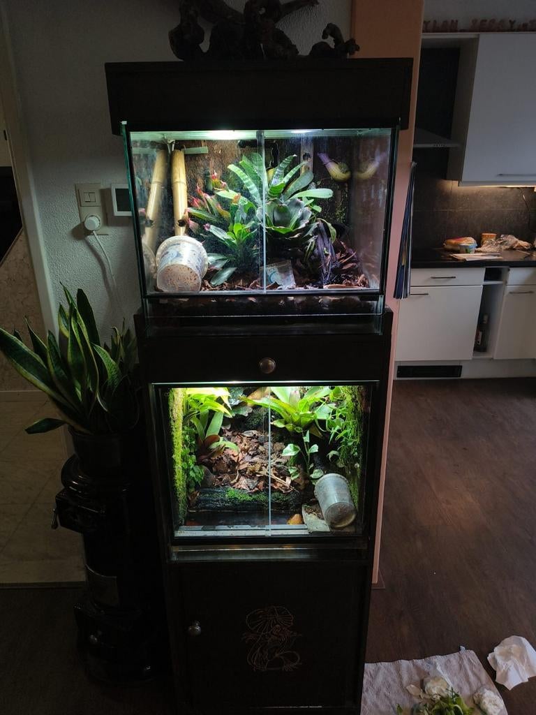 Volledig ingerichte paludarium setup, Ophalen, Terrarium of Paludarium