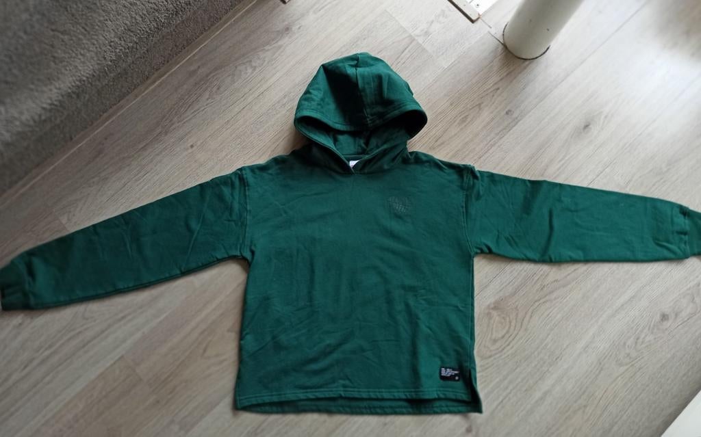 Groene hoodie voor jongen of meisje 158, Kinderen en Baby's, Kinderkleding | Maat 158, Ophalen of Verzenden, Zo goed als nieuw