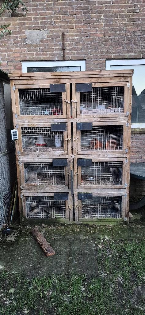 Koijnen flat, Dieren en Toebehoren, Knaagdieren en Konijnen | Hokken en Kooien, 110 cm of meer, Nieuw, Ophalen of Verzenden, 90 cm of meer