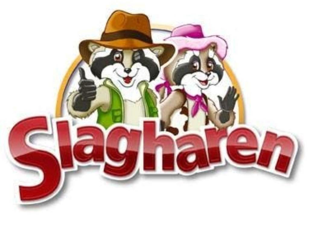 Slagharen 2 kaartjes, Drie personen of meer, Ticket of Toegangskaart