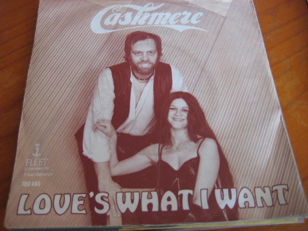 Cashmere: Love`s what I want, Ophalen of Verzenden, Zo goed als nieuw, Pop, Single