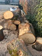 Eiken boomstammen - Ideaal voor brandhout of decoratie, Tuin en Terras, Haardhout, 3 tot 6 m³, Ophalen, Eikenhout, Stammen