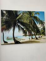 Doek strand aan zee 80 x 60, Ophalen