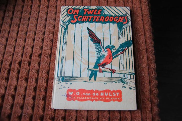 om 2 schitteroogjes W.G vd Hulst, Boeken, Kinderboeken | Jeugd | onder 10 jaar, Gelezen, Fictie algemeen, Ophalen of Verzenden