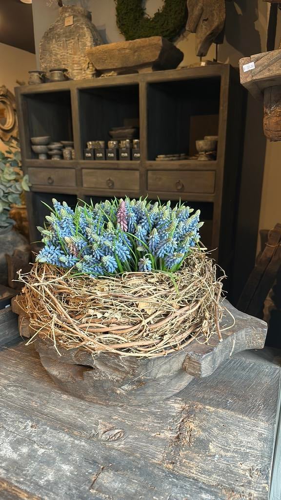 Kunst Blauwe druifjes, Ophalen of Verzenden