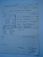 document fokvereniging koe rundvee stamboek, Ophalen, Gelezen, Vee