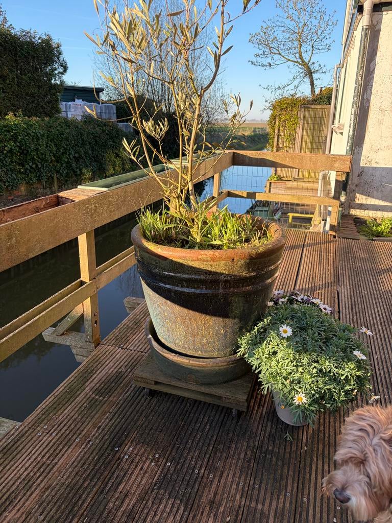 2 geglazuurde bloempotten Ø50cm, hoogte 55cm, Tuin en Terras, Bloempotten, Ophalen, Gebruikt, 40 cm of meer, Rond