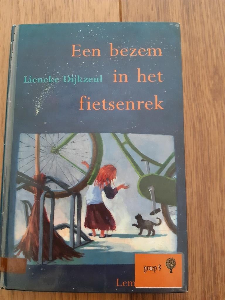 Een bezem in het fietsenrek Lieneke Dijkzeul, Ophalen of Verzenden, Gelezen, Lieneke Dijkzeul