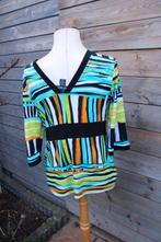 Tuniek zwart/ kleur Frank Lyman mt 40 Vaste prijs, Kleding | Dames, Maat 38/40 (M), Zwart, Ophalen of Verzenden, Zo goed als nieuw