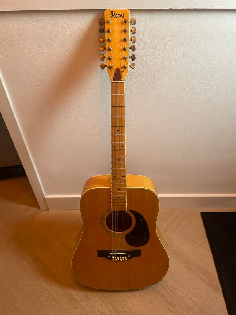 Ibanez 12-snarige gitaar - Opknapper, Muziek en Instrumenten, Ophalen, Gebruikt, Western- of Steelstringgitaar, 12-snarig