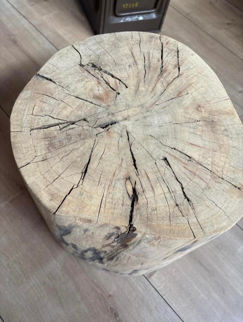 Decoratief houtblok boomstam geschuurd, Ophalen