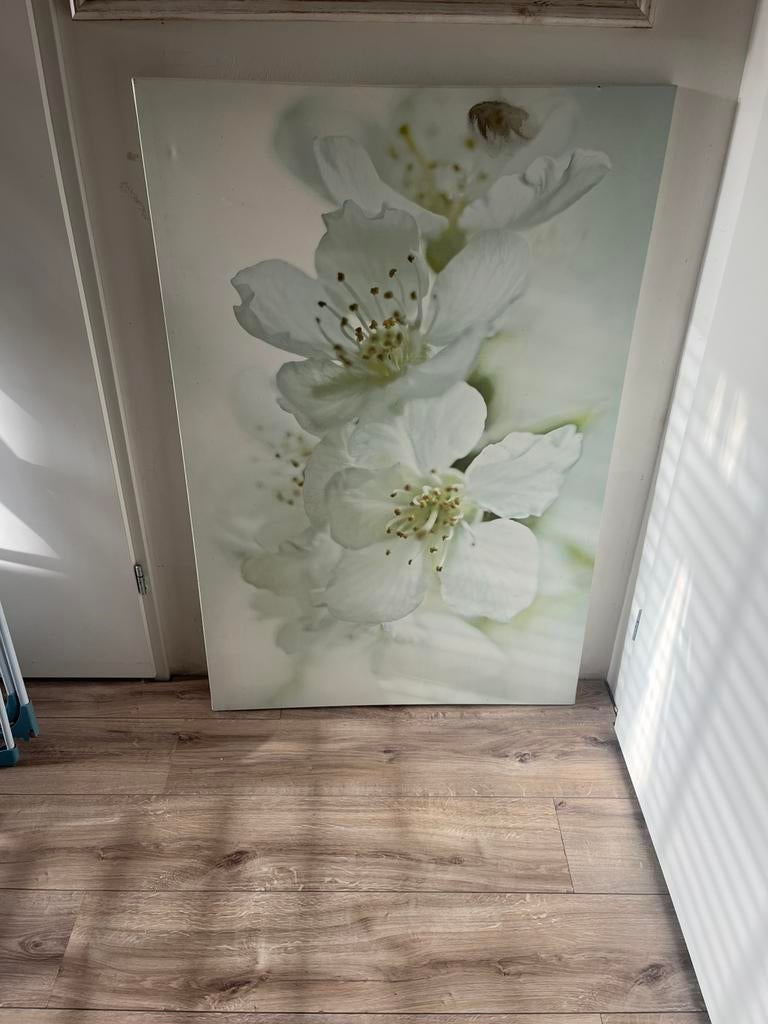 Groote canvas bloemen 80x120, Ophalen of Verzenden, Zo goed als nieuw, Schilderij, Minder dan 50 cm