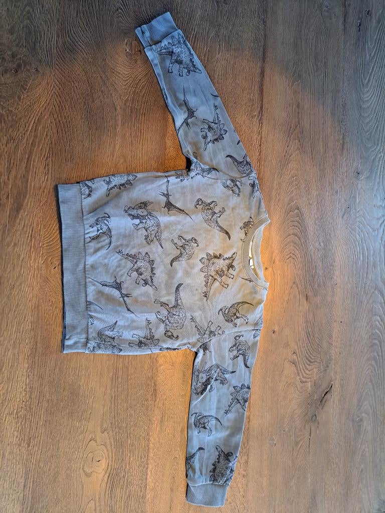 Stoere dino trui - maat 98, Gebruikt, Jongen of Meisje, Trui of Vest, Name it