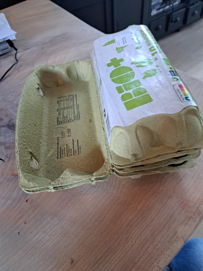 Eierendozen, Overige soorten