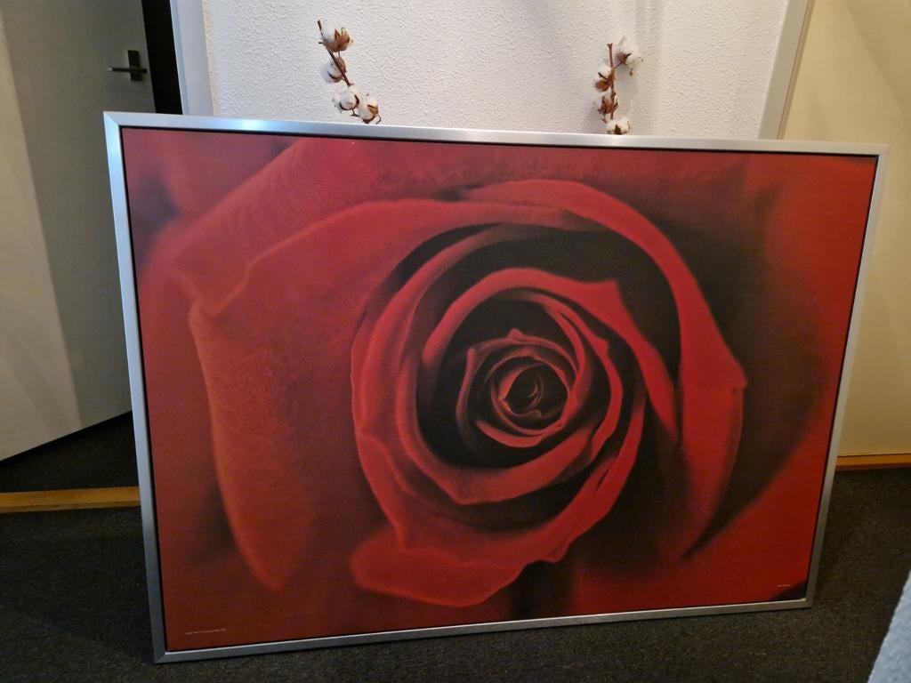 Schilderij Rode Roos in Zilveren Lijst, Ophalen