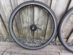 Shimano Nexus achterwiel 7  speed .  SG 3001 - 7C Inter, Ophalen of Verzenden, Zo goed als nieuw