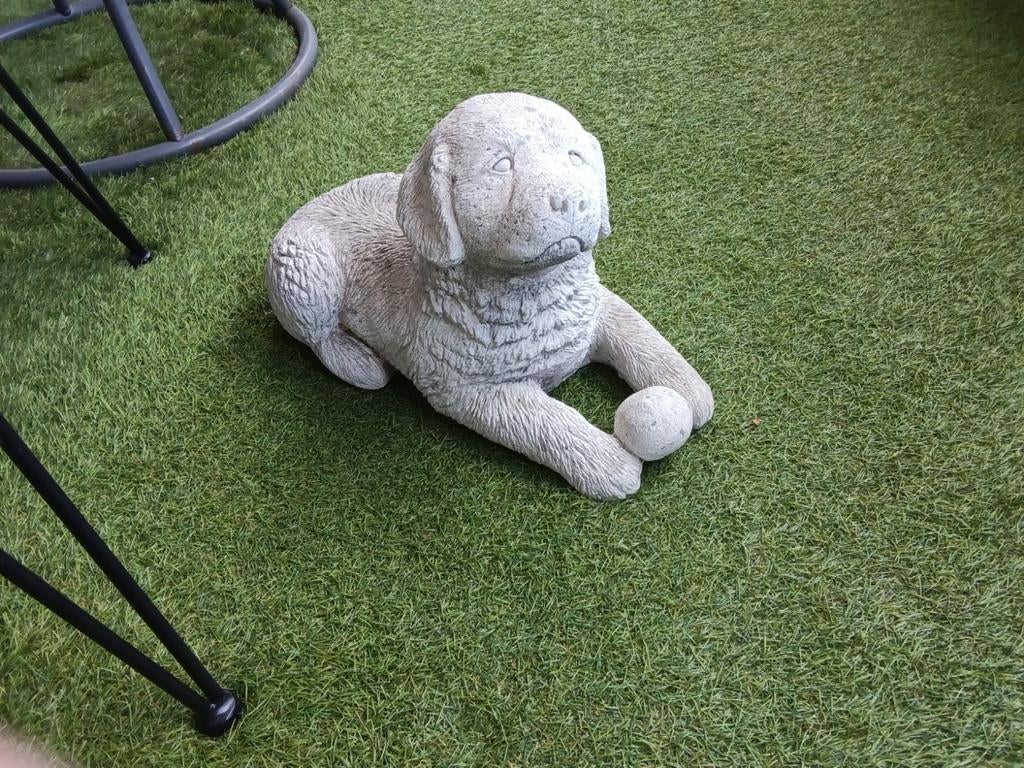 Beeldje hond, Ophalen